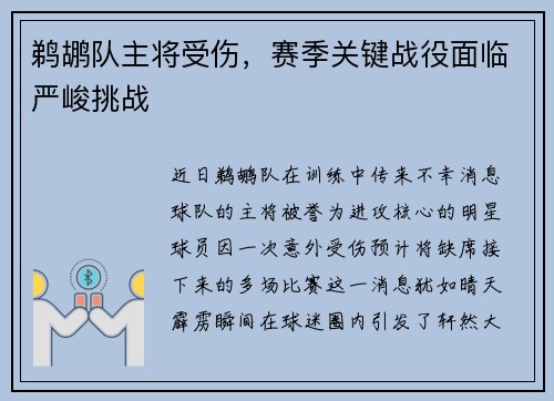 鹈鹕队主将受伤，赛季关键战役面临严峻挑战