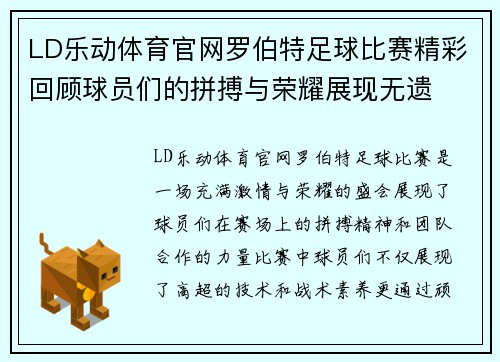 LD乐动体育官网罗伯特足球比赛精彩回顾球员们的拼搏与荣耀展现无遗