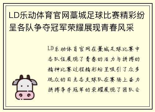 LD乐动体育官网藁城足球比赛精彩纷呈各队争夺冠军荣耀展现青春风采