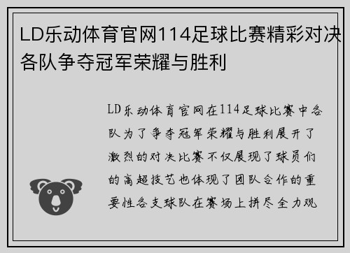 LD乐动体育官网114足球比赛精彩对决各队争夺冠军荣耀与胜利